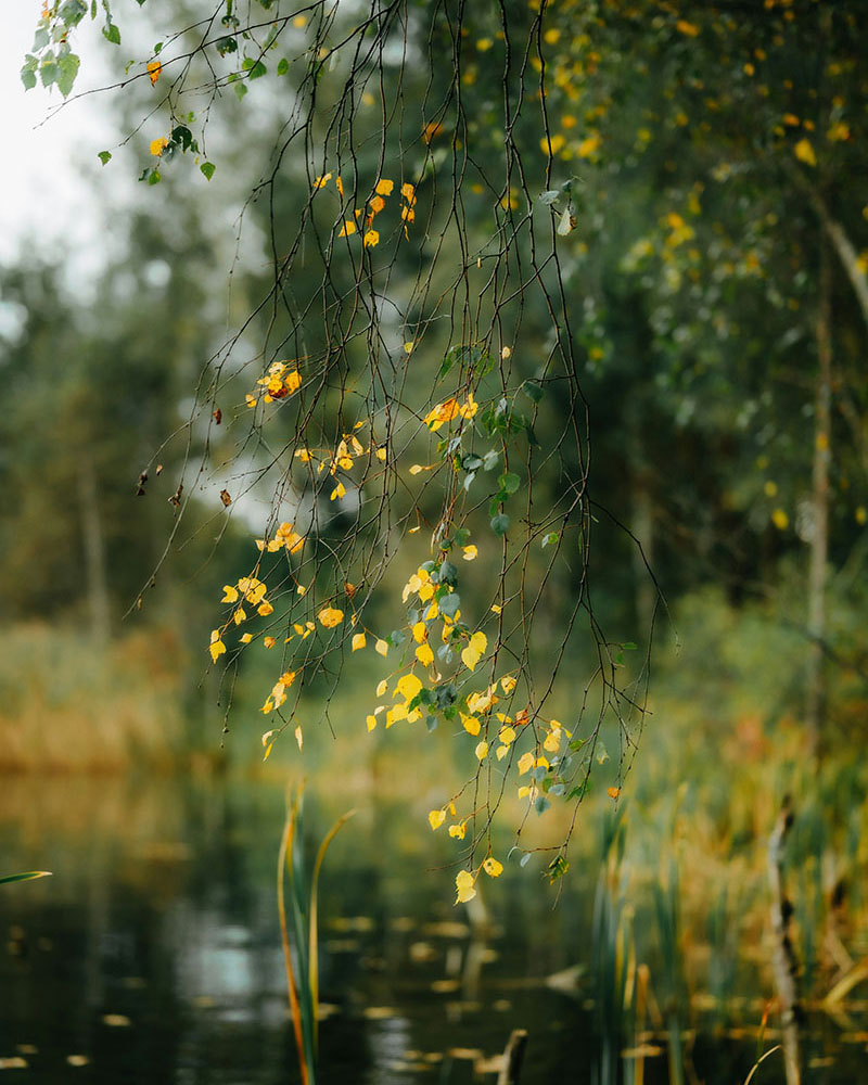 Life coach in Centurion Gauteng - Journey Life Coach Ansie Guyt